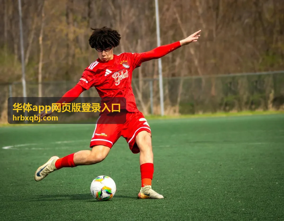 世界杯上帝视角：从全局看懂比赛走势 —— 华体app网页版登录入口相关内容配图